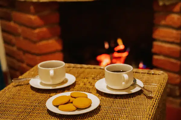 Tea and biscuits by the fire